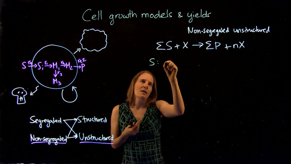1-3 Growth models yields